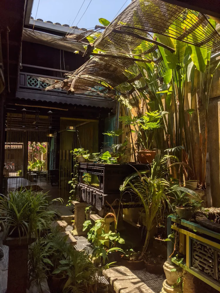 Cocobana - ảnh 7